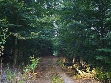 0 Rocky Ford Road, Moneta, VA 24121