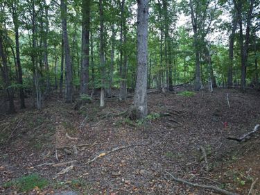 0 Pilot Mountain Road, Moneta, VA 24121