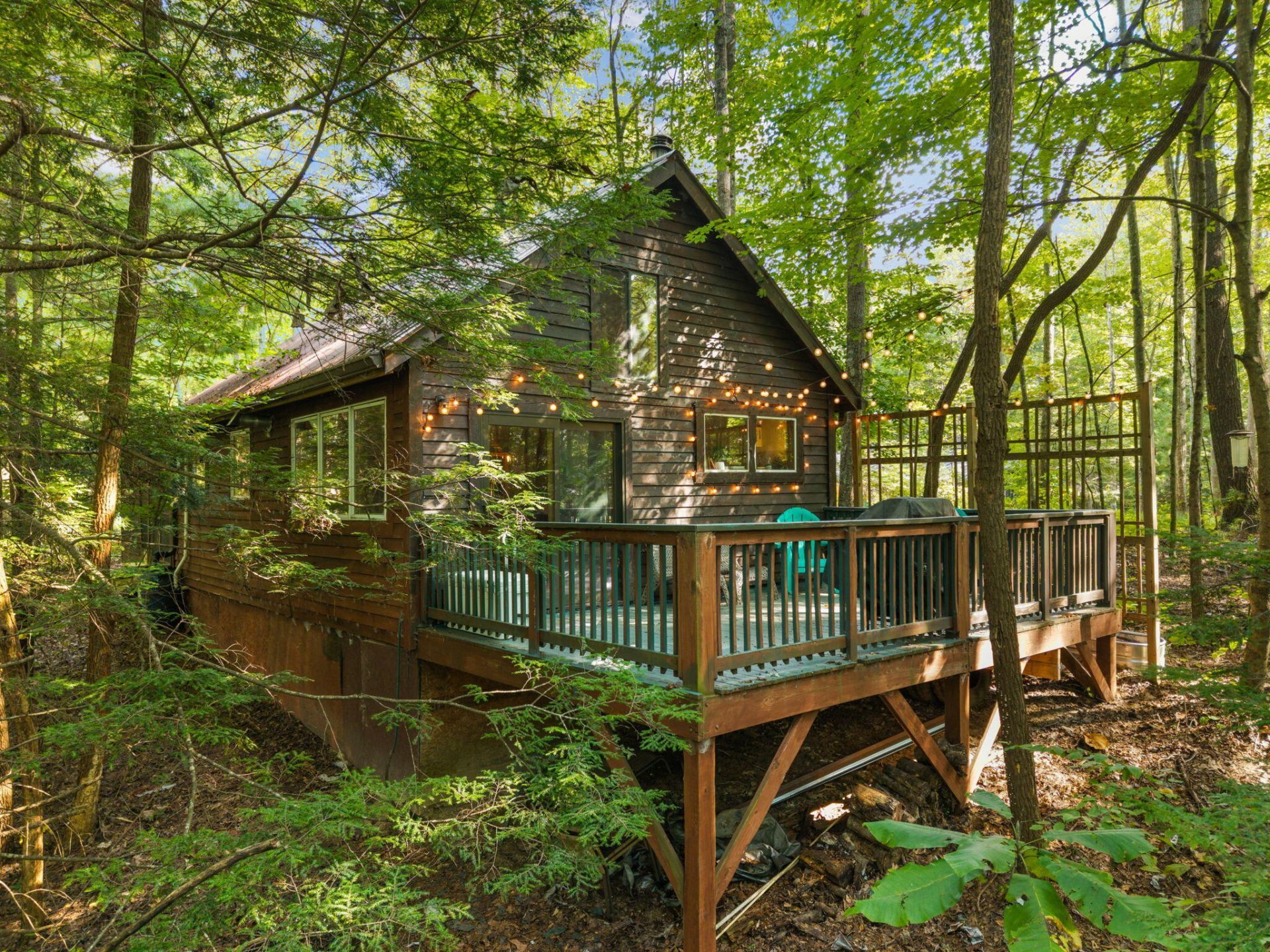 229 Sunrise Lane, Rogers, KY 41365 Main Photo