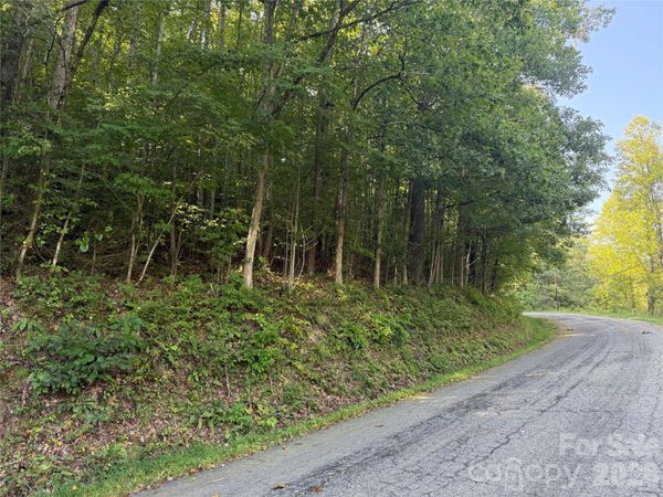 000A Bobcat Road , Waynesville, NC 28785