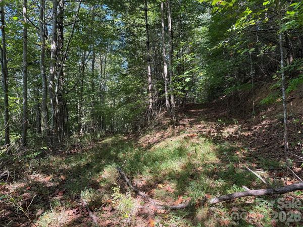 000B Rosalie Lane , Waynesville, NC 28785