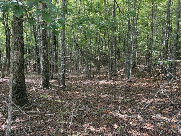 0 Lake Trail , Unit 324, Dunlap, TN 37327