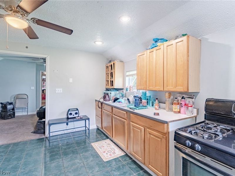 7602 Berry Avenue, Cleveland, OH 44102 Photo 8
