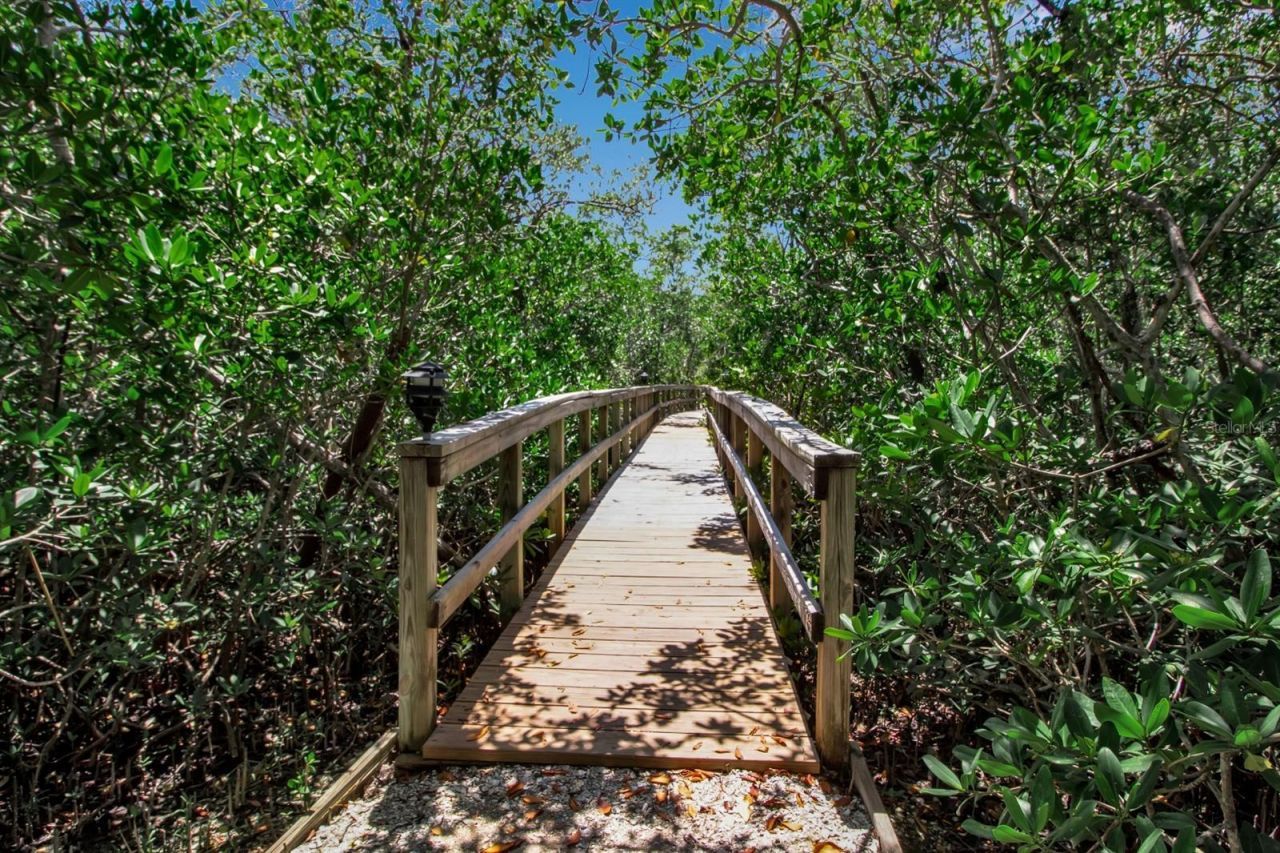 521 Forest Way, Longboat Key, FL 34228 Photo