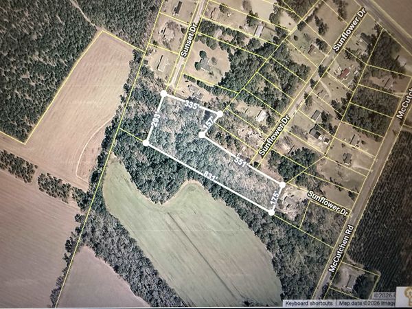 Sunflower Dr., Cades, SC 29518