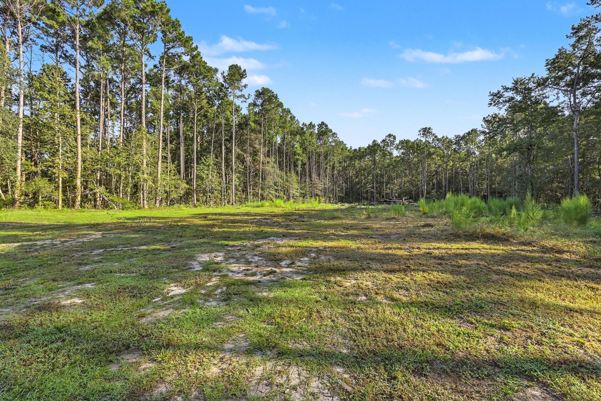 1036 Milcrest Drive Photo 35