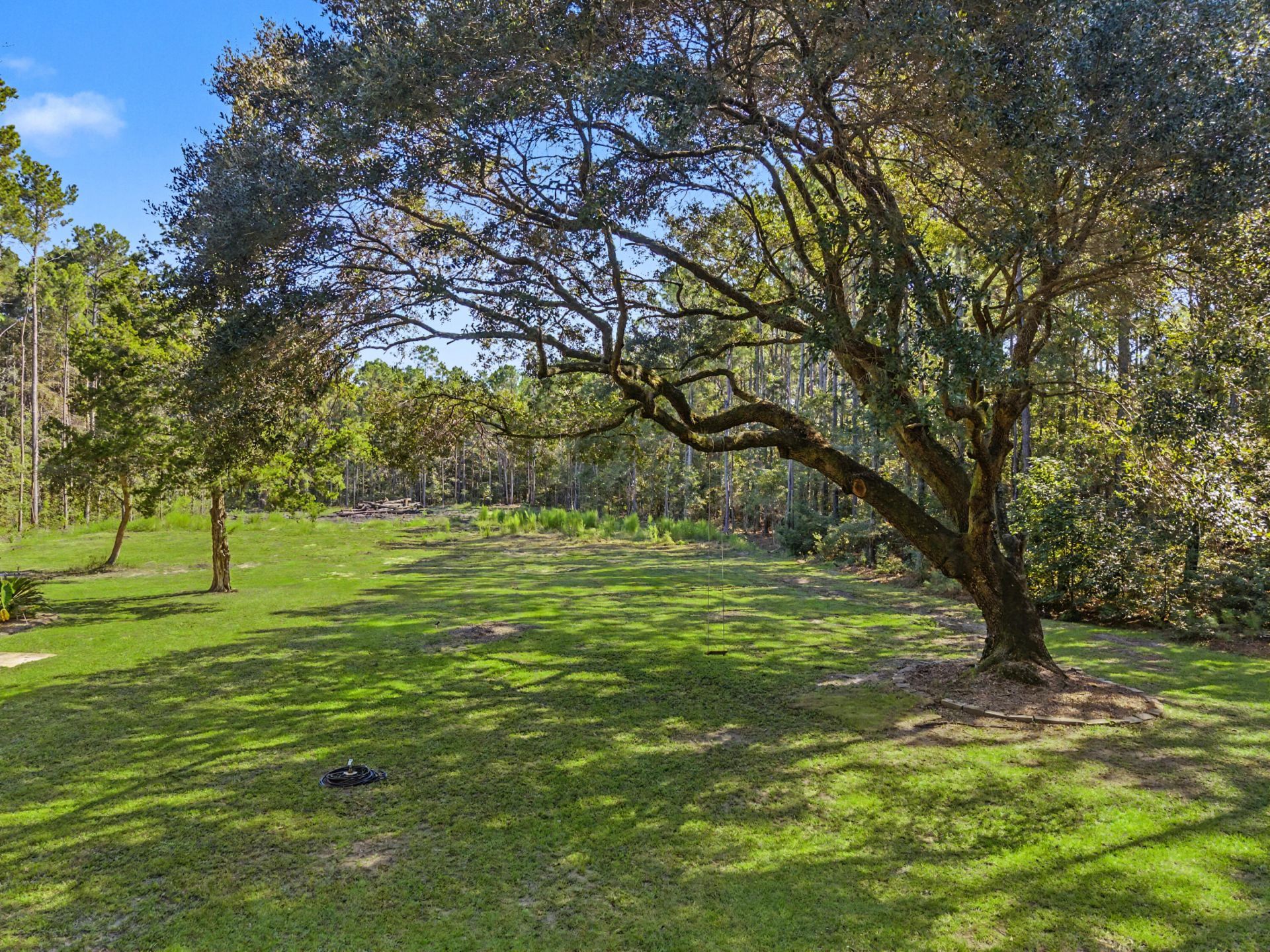 1036 Milcrest Drive Photo 36
