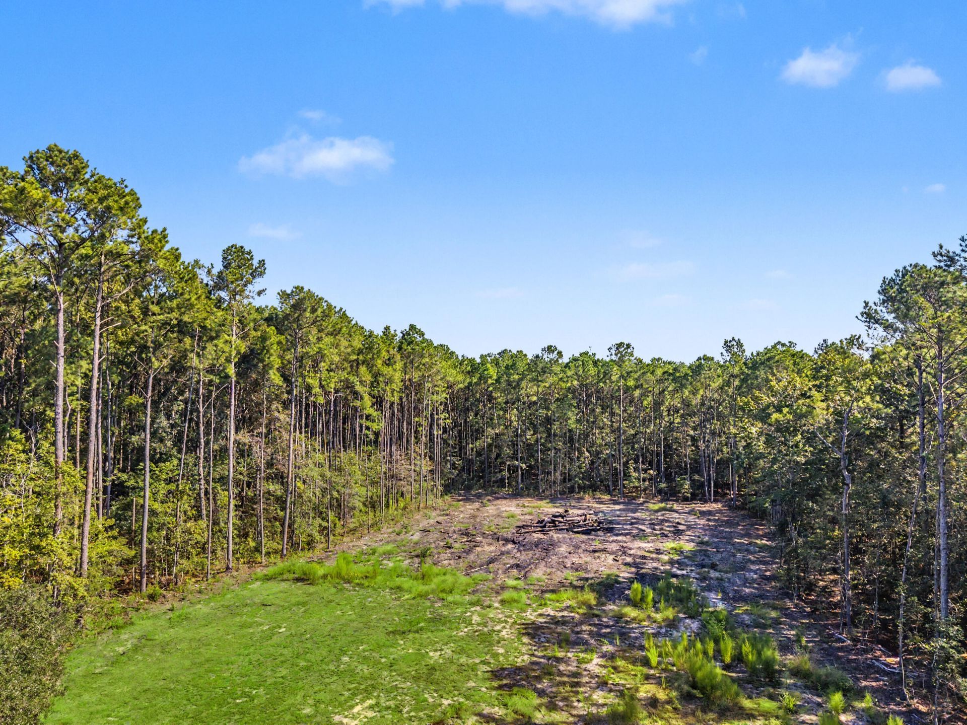 1036 Milcrest Drive Photo 37