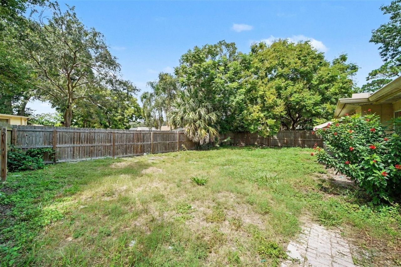 6249 Maplewood Drive , New Port Richey, FL 34653 Photo
