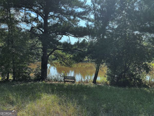28 ACRES Hwy 36E, Thomaston, GA 30286