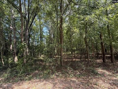3938 Timrod Road , Bethune, SC 29009