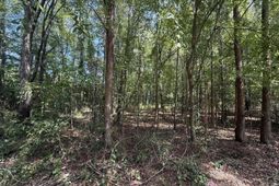3938 Timrod Road  photo 4