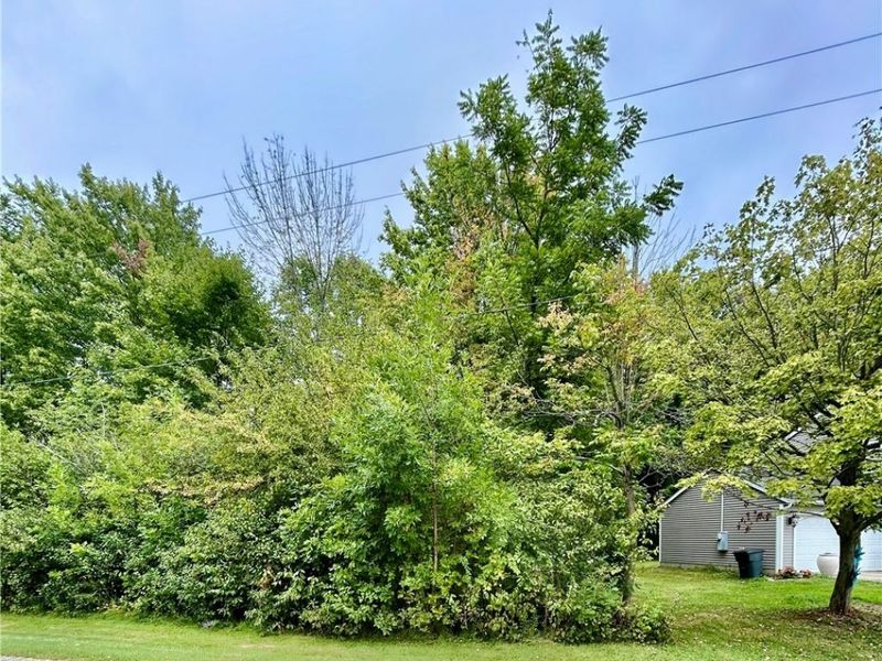 1901 Morning Star Drive, Roaming Shores, OH 44084 Photo 3