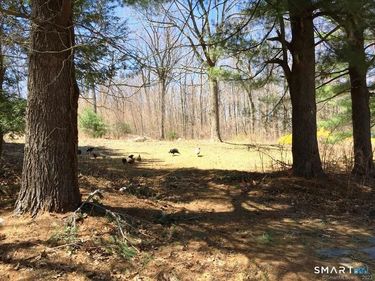 159 Campville , Litchfield, CT 06778
