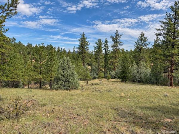 000 K Path , Cotopaxi, CO 81223