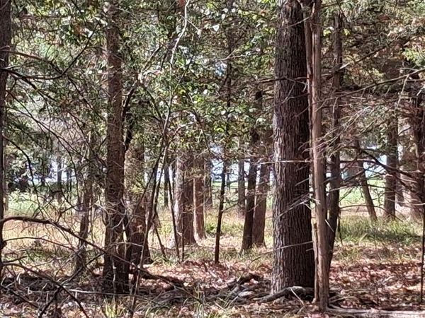 tbd Hideaway , Murchison, TX 75778