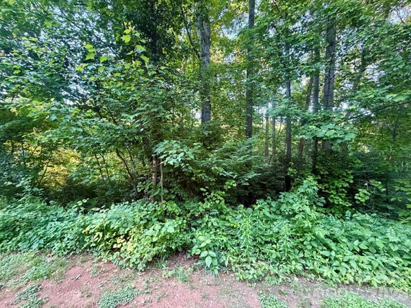 1221 Shirebourn None , Hickory, NC 28602