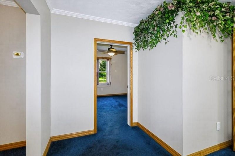 13016 Somerlott Place, Dover, FL 33527 Photo