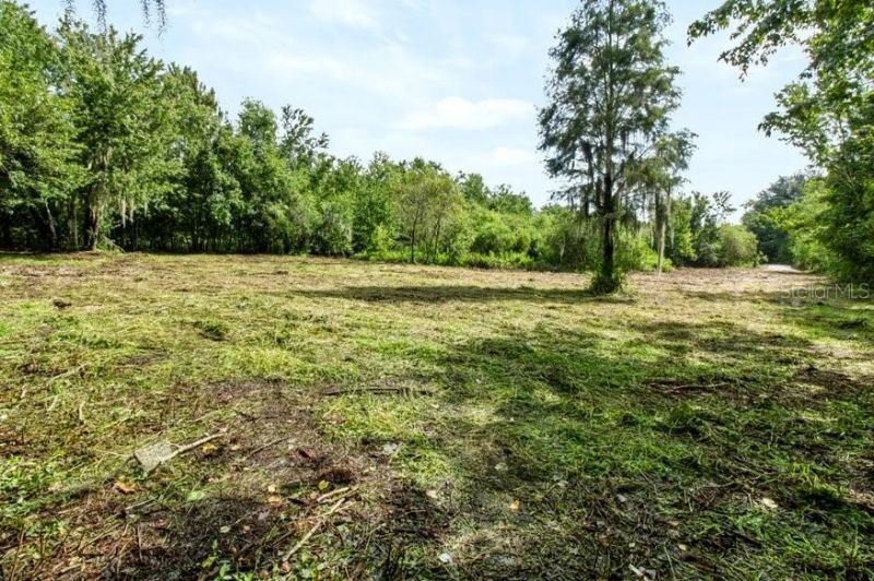 13016 Somerlott Place, Dover, FL 33527 Photo