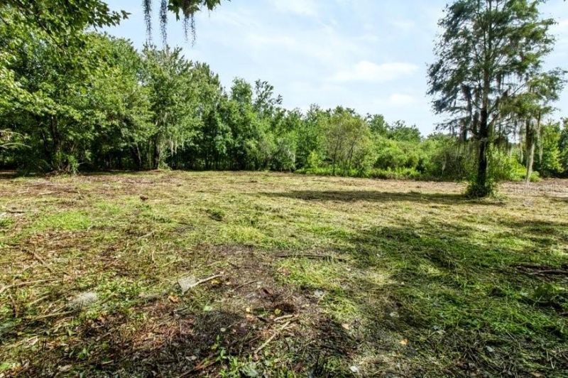 13016 Somerlott Place, Dover, FL 33527 Photo