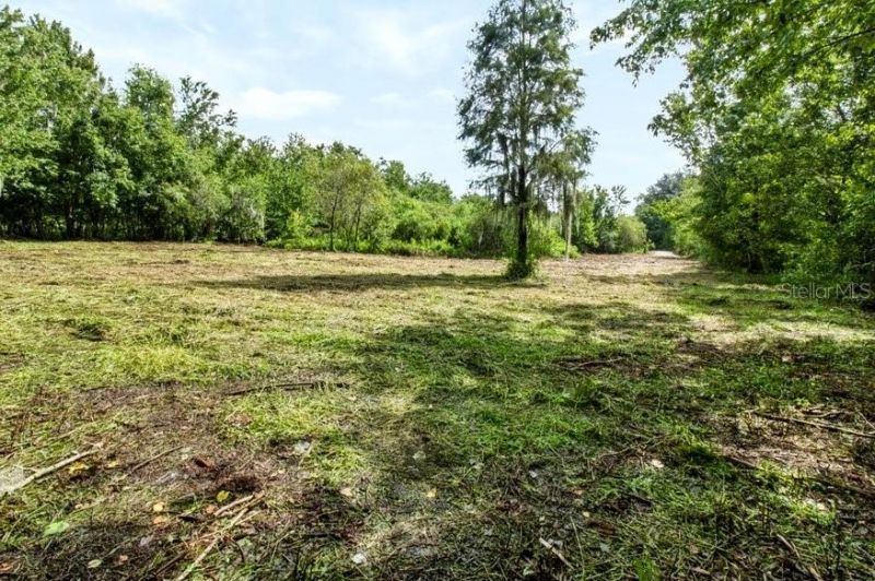 13016 Somerlott Place, Dover, FL 33527 Photo