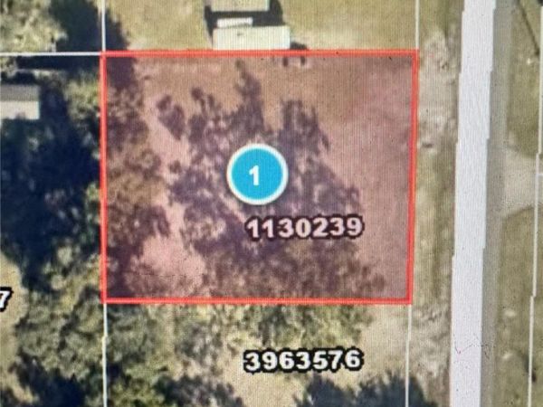 TBD OGDEN AVENUE , UMATILLA, FL 32784