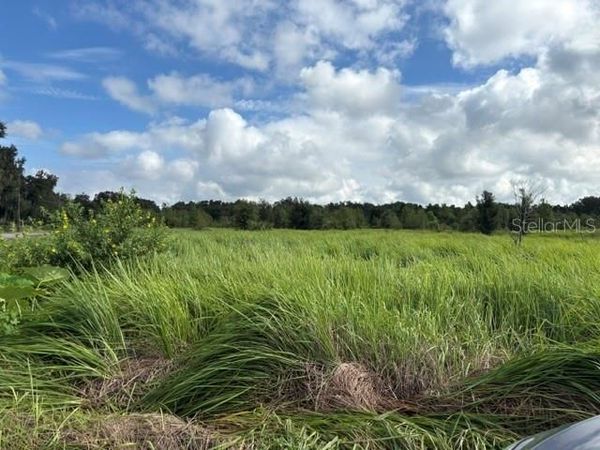 WALTER HUNTER ROAD , Unit Lot 1, LITHIA, FL 33547