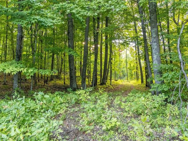 38.2 Acres Vierck Lane, Exeland, WI 54835