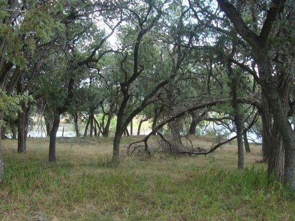 6703 Bar K Ranch RD , Lago Vista, TX 78645