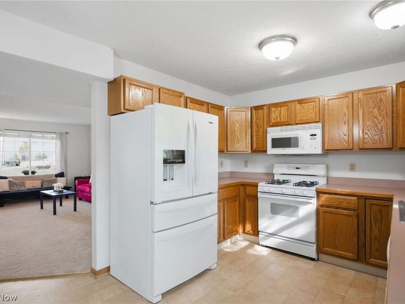 1138 Oxford Circle, Akron, OH 44312 Photo 14