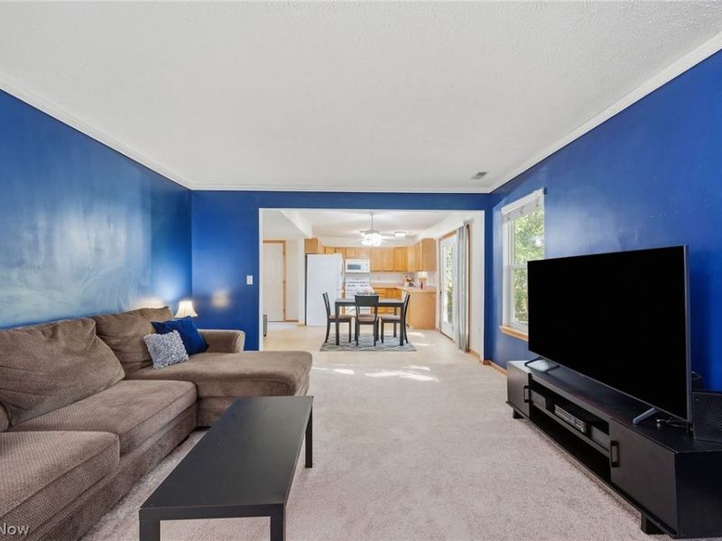 1138 Oxford Circle, Akron, OH 44312 Photo 8
