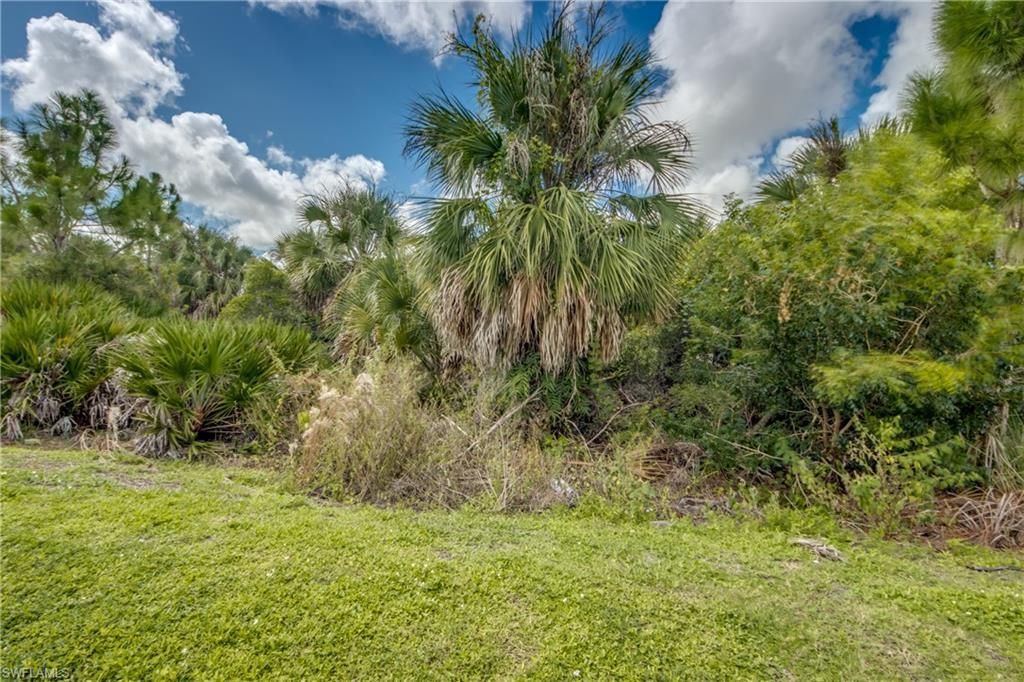 3162 Estancia Ln, Cape Coral, FL 33909 Photo