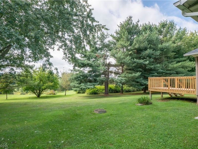 8835 Dover Road, Apple Creek, OH 44606 Photo 31