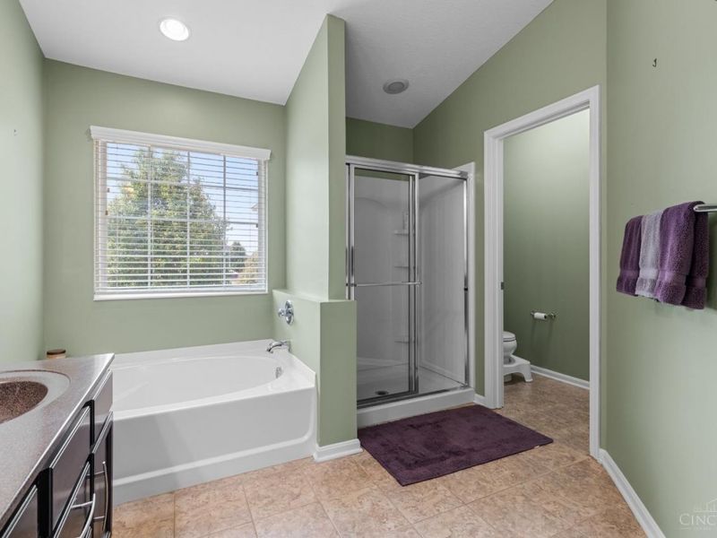 8164 Bridge Point Drive, Green Township, OH 45248 Photo 24