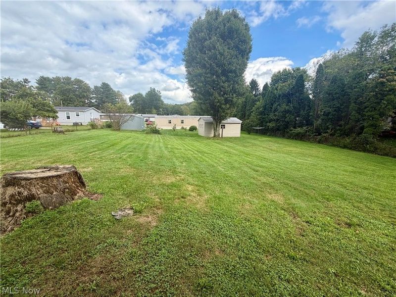 9133 W Southview Street, Minerva, OH 44657 Photo 10