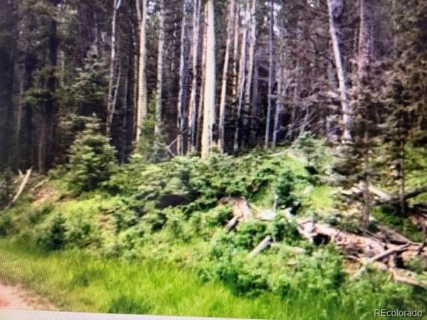 00 Drexler Place , Fort Garland, CO 81133