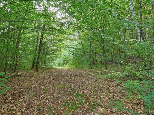 0 Wright Reservoir Road, Hartford, VT 05001