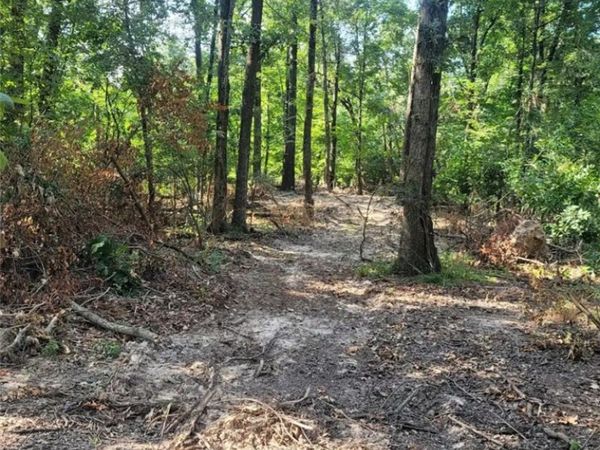 3 Acres E Adams Street , Lincoln, AR 72744