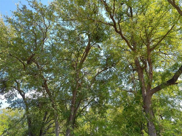 Lot 33 Serenity DR, Bertram, TX 78605