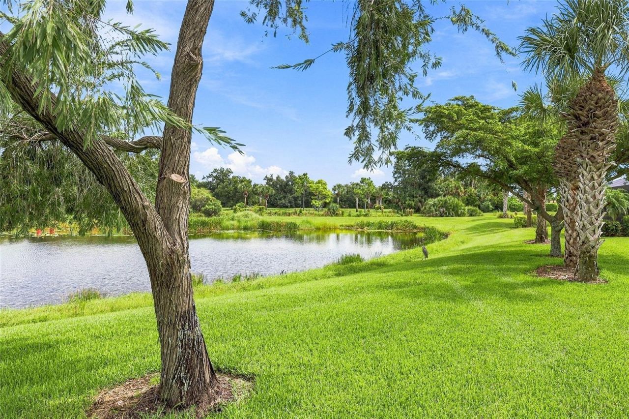 11170 Sandhill Preserve Drive, Sarasota, FL 34238 Photo