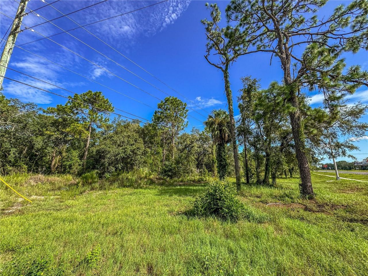11115 Commercial Way, Weeki Wachee, FL 34614 Photo