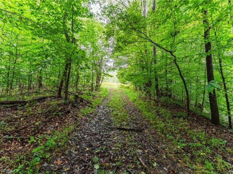 36810 Township Road 68a, Dresden, OH 43821 Photo 10