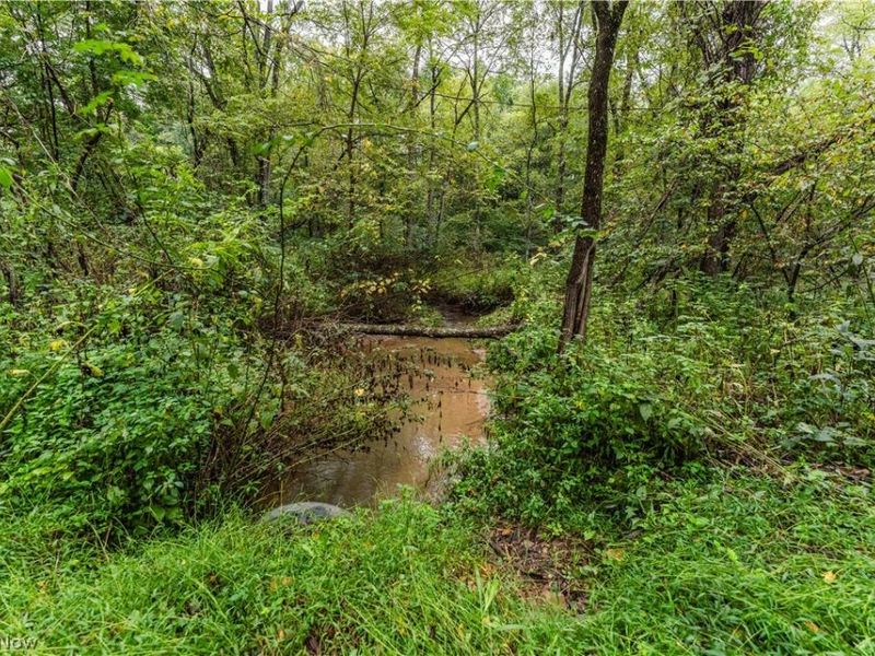 36810 Township Road 68a, Dresden, OH 43821 Photo 11