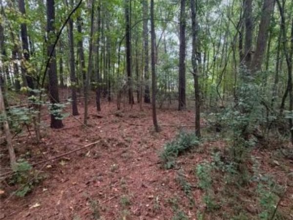 822 Tabby Lane, Athens, GA 30605