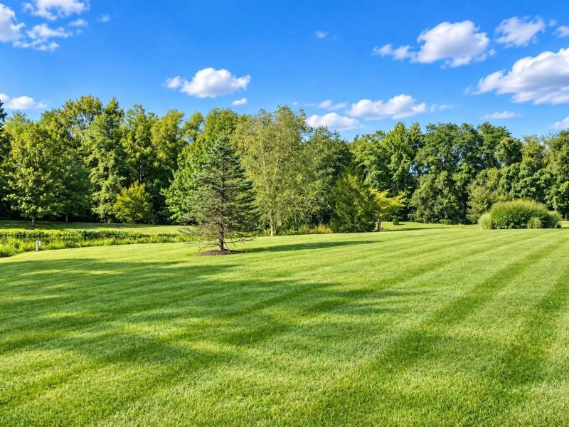 8605 Swisher Creek Crossing, New Albany, OH 43054 Photo 11