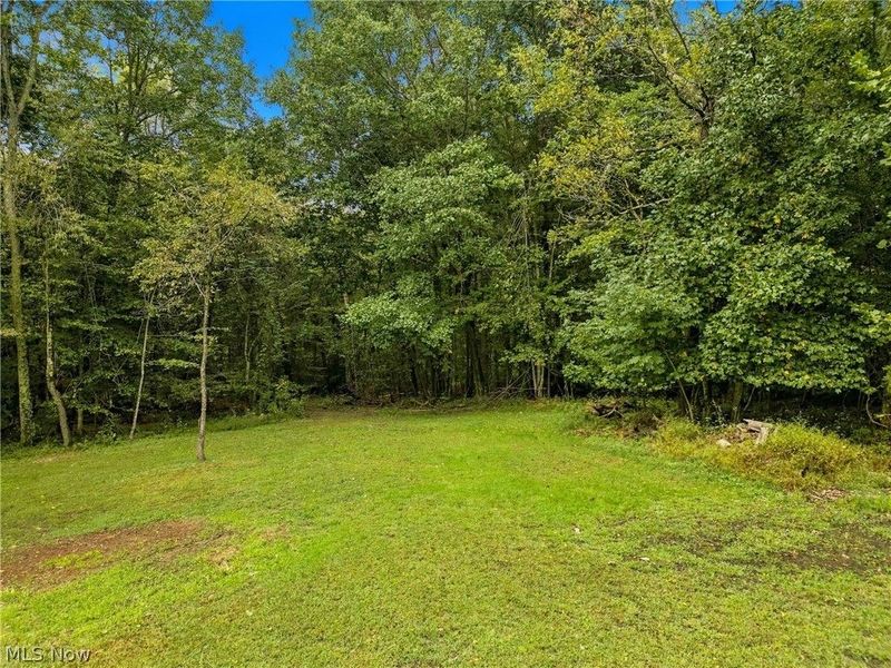Tedrick Road, New Concord, OH 43762 Photo 15
