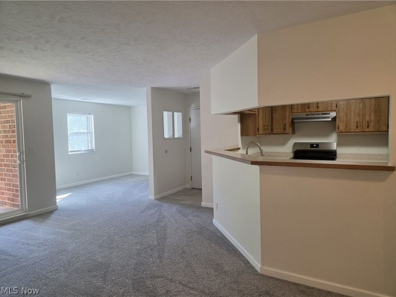 1150 Tollis Parkway, Broadview Heights, OH 44147 Photo 9
