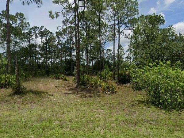 1707 RICHMOND AVENUE N, LEHIGH ACRES, FL 33972