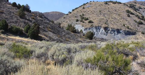 1220 Freds Mountain Road, Lot #168, Reno, NV 89508 Photo