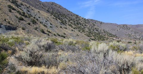 1220 Freds Mountain Road, Lot #168, Reno, NV 89508 Photo